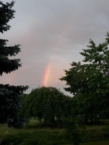 Regenbogen